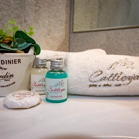 & Relax Zone Cattleya Kruszuna