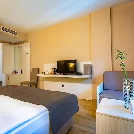 & Relax Zone Cattleya Kruszuna