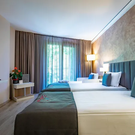 & Relax Zone Cattleya