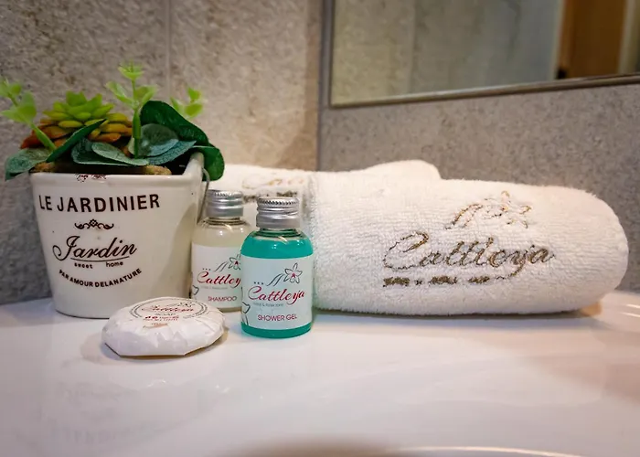 & Relax Zone Cattleya クルシュナ