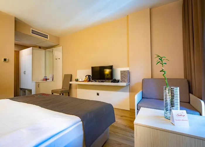 & Relax Zone Cattleya Крушуна