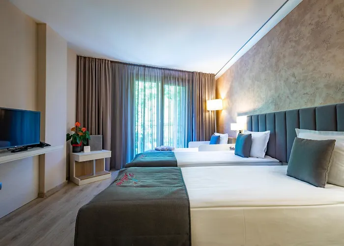 & Relax Zone Cattleya